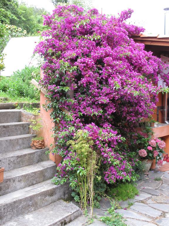 Casa Rural Enkartada Sopuerta Buitenkant foto